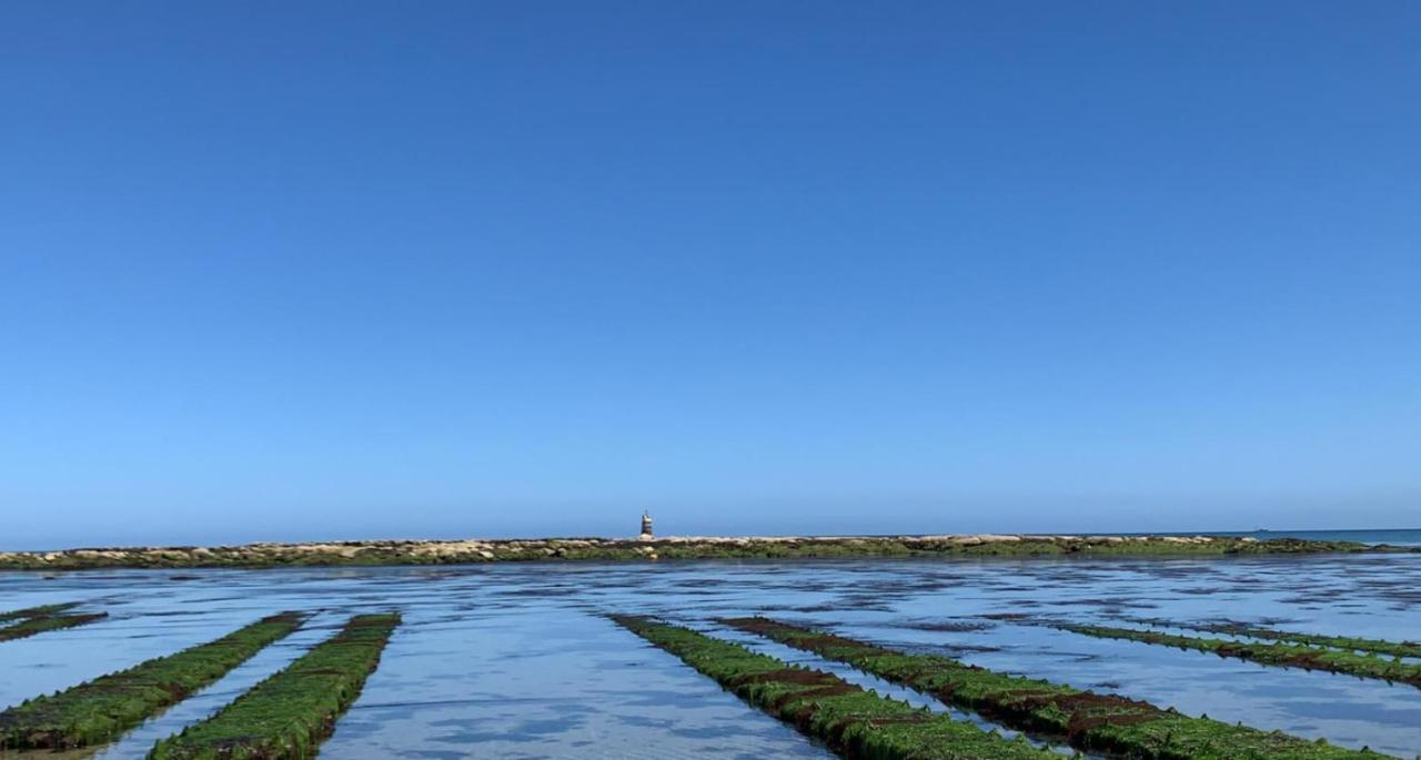 Vila Les Cormorans Saint-Vaast-la-Hougue Exteriér fotografie